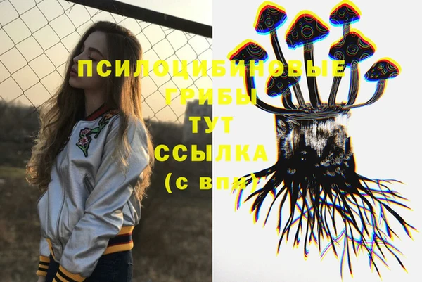 амф Белоозёрский