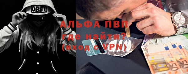 сатива Балахна