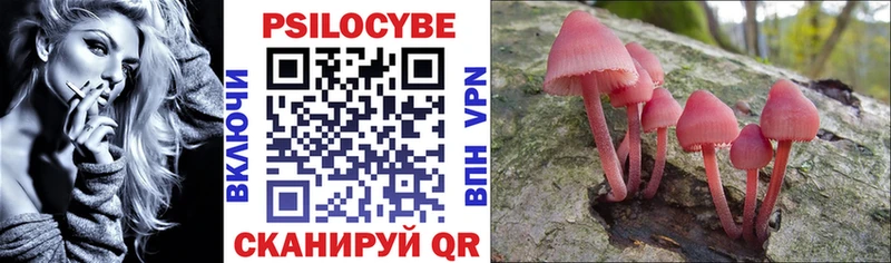 Купить закладки  Уяр  Псилоцибиновые грибы Psilocybine cubensis 